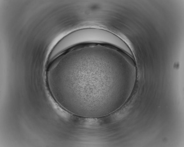 X0000089381144200706221248