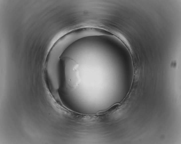 X0000089381146200706221248