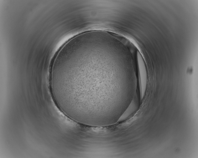 X0000089381147200706221248