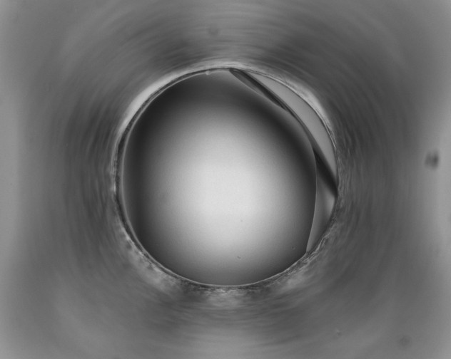 X0000089381148200706221248