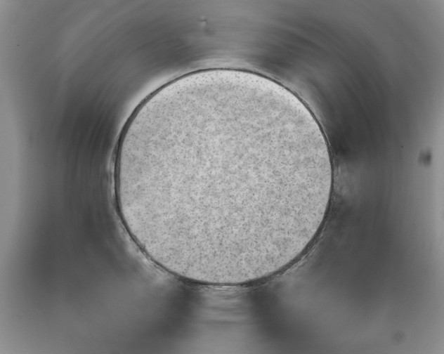 X0000089381150200706221248