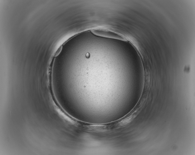 X0000089381151200706221248