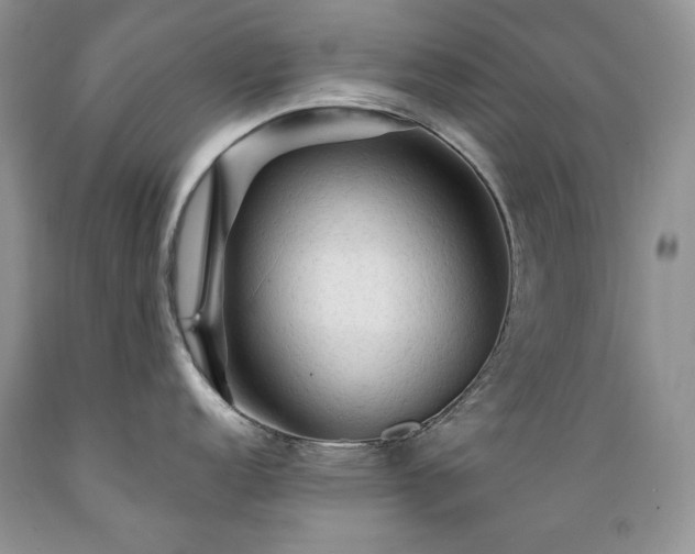 X0000089381152200706221248