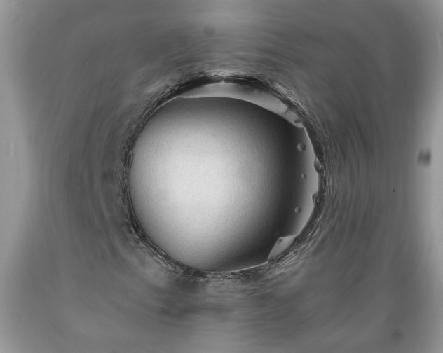 X0000089381153200706221247