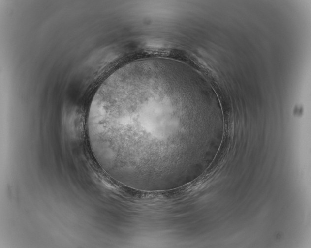 X0000089381154200706221247