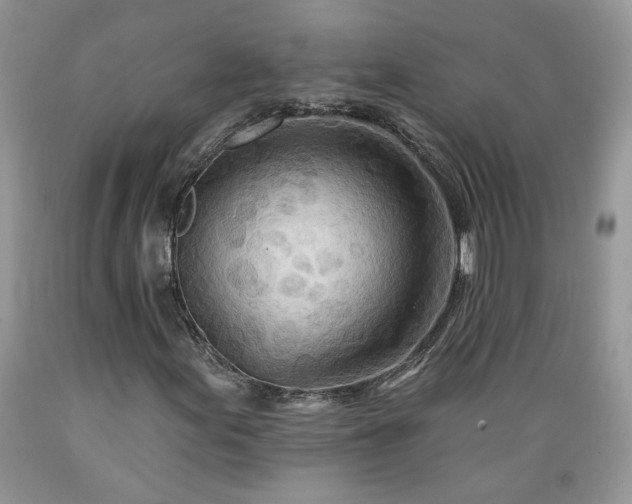 X0000089381155200706221247