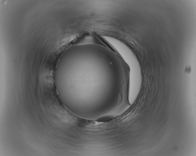 X0000089381156200706221247