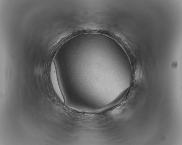 X0000089381157200706221247