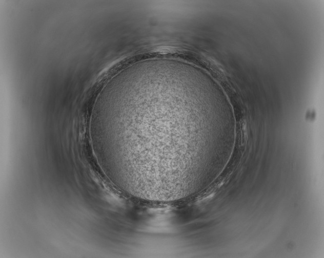 X0000089381158200706221247