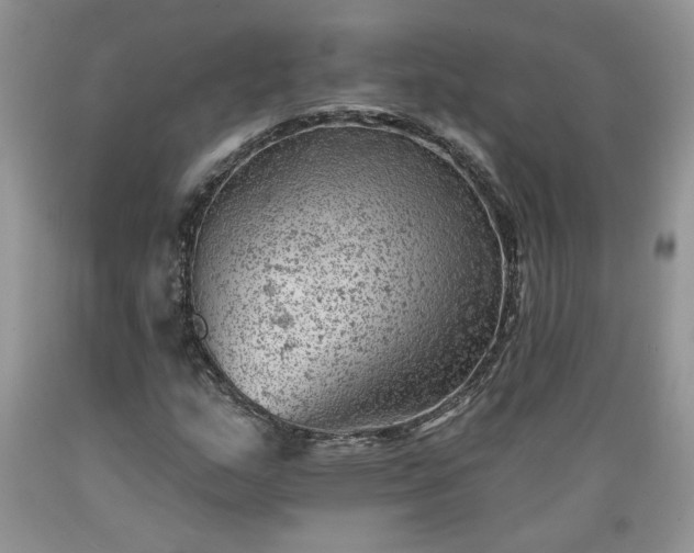 X0000089381159200706221247