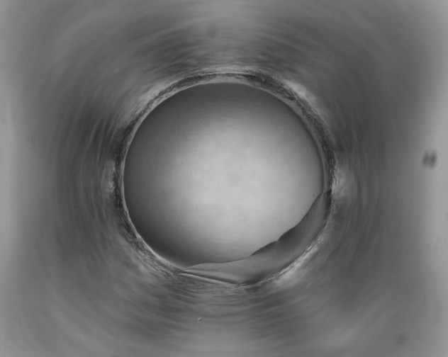 X0000089381161200706221247