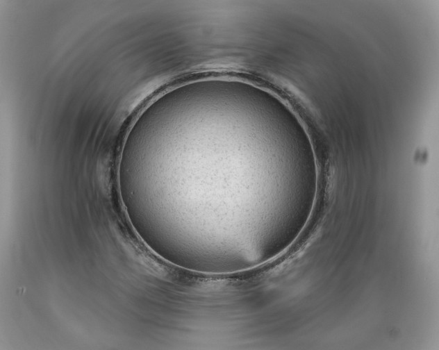 X0000089381162200706221247