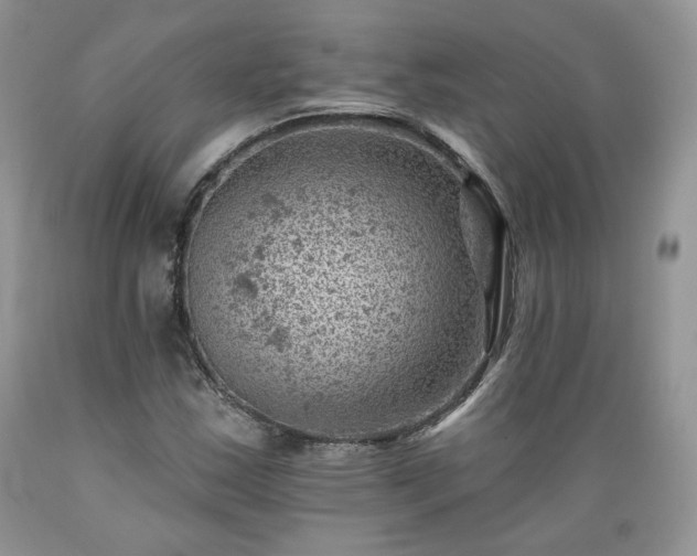 X0000089381163200706221247
