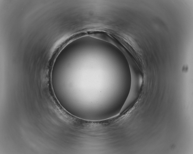 X0000089381164200706221247