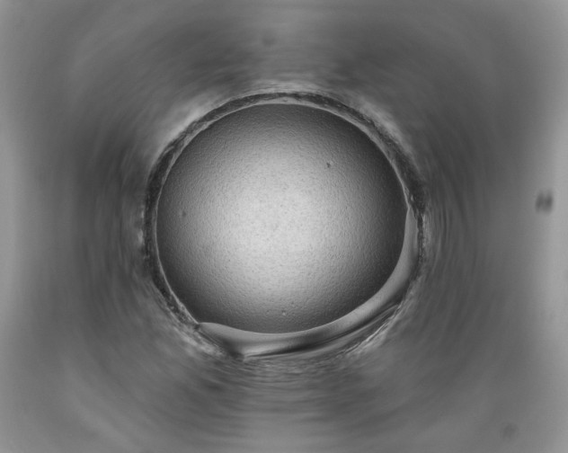 X0000089381165200706221247