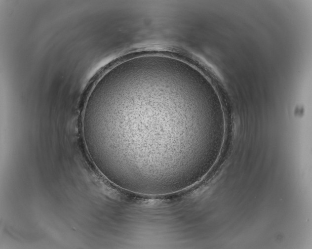 X0000089381166200706221247