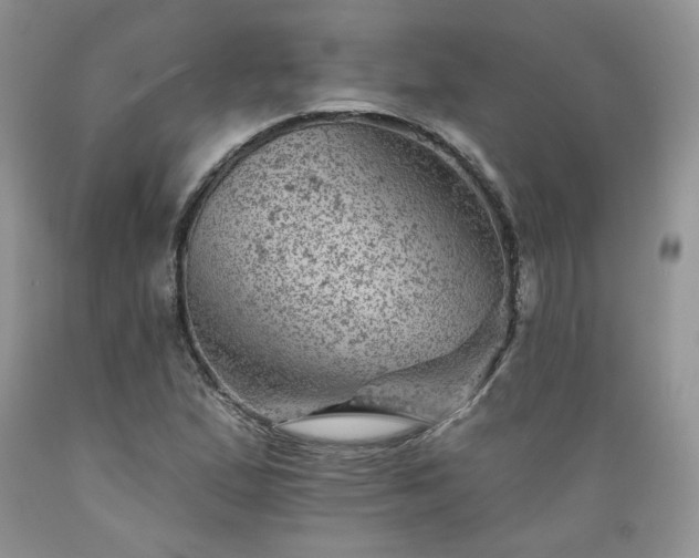 X0000089381167200706221247