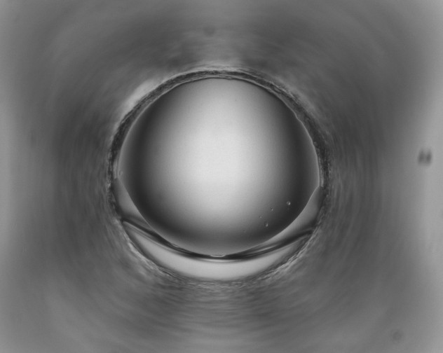 X0000089381168200706221247