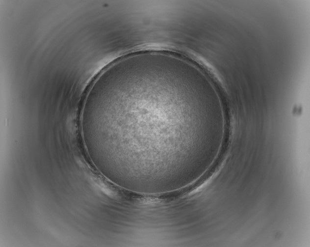 X0000089381170200706221247