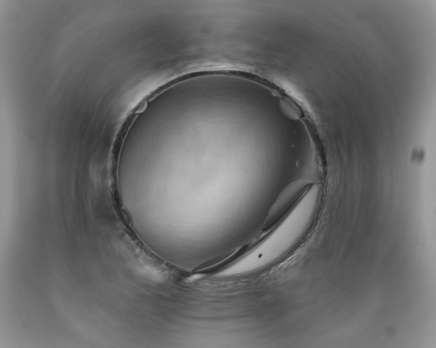 X0000089381173200706221247
