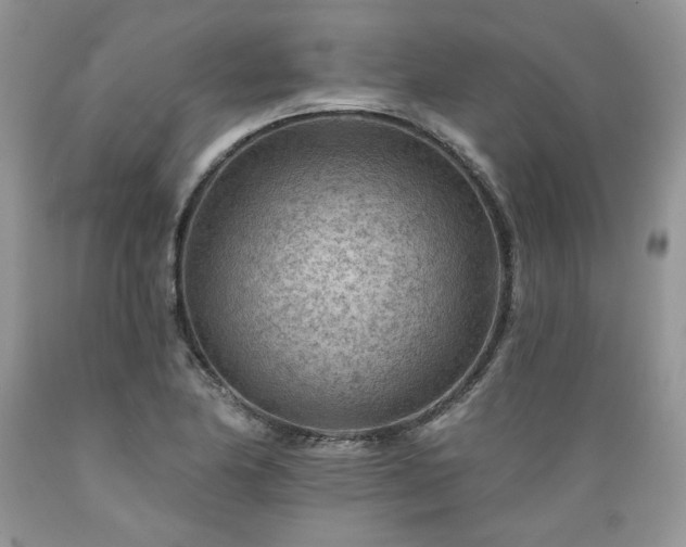 X0000089381174200706221247