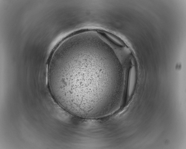 X0000089381175200706221247