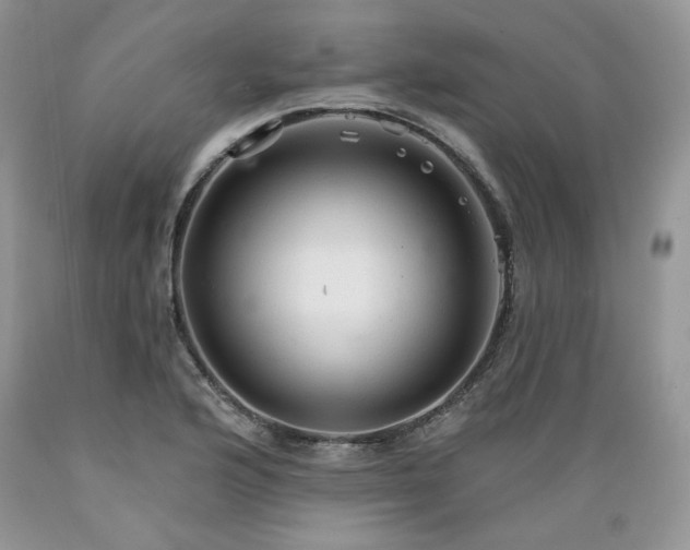 X0000089381176200706221247