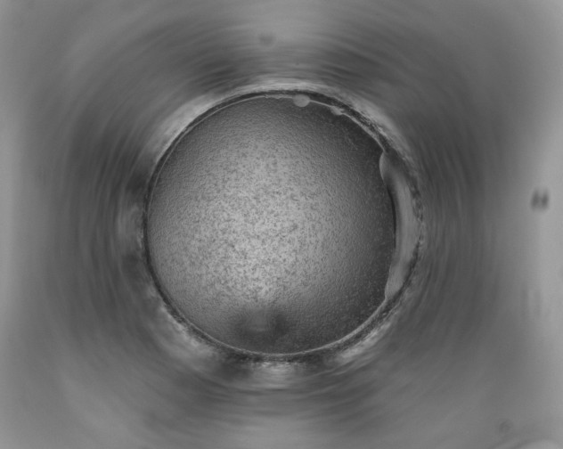 X0000089381177200706221247