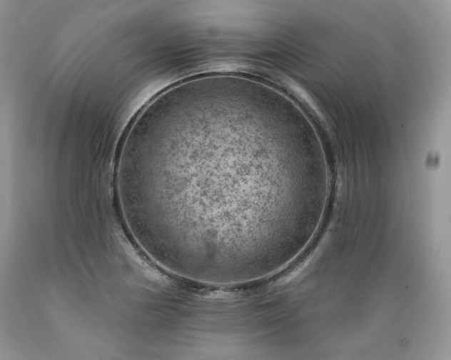 X0000089381178200706221247