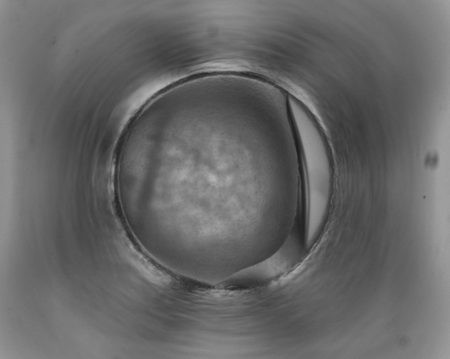 X0000089381179200706221247