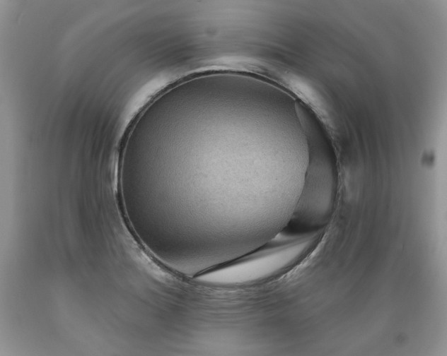 X0000089381180200706221247