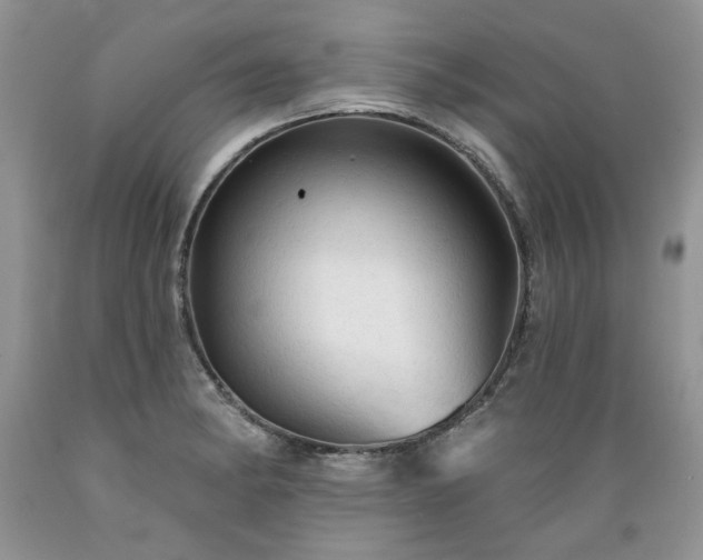 X0000089381182200706221247