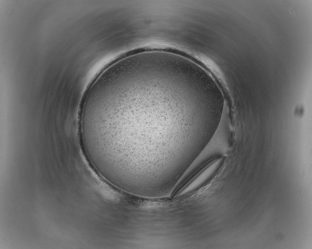 X0000089381183200706221247