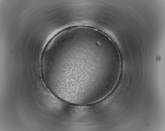 X0000089381184200706221247