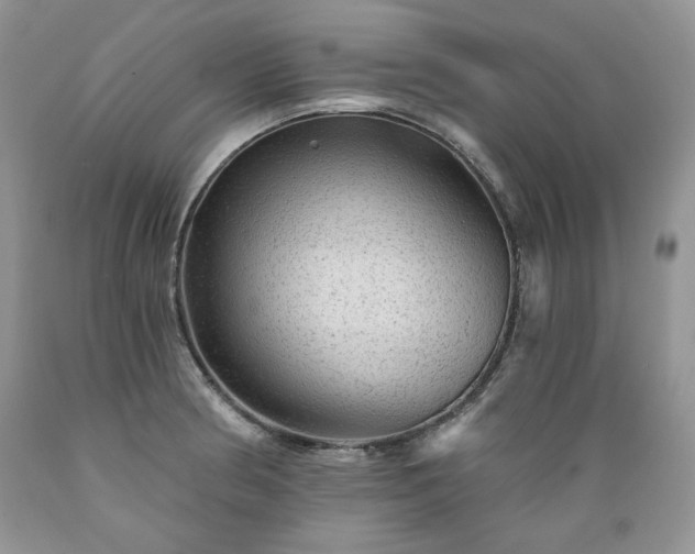 X0000089381186200706221247