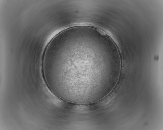 X0000089381187200706221247