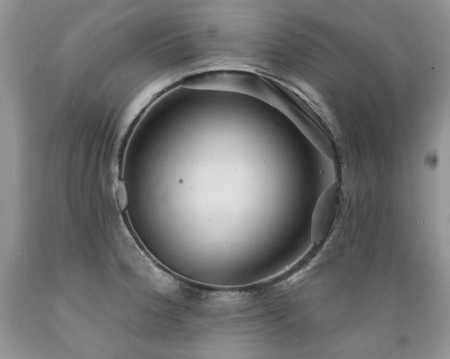 X0000089381188200706221247