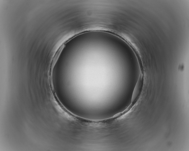 X0000089381189200706221247