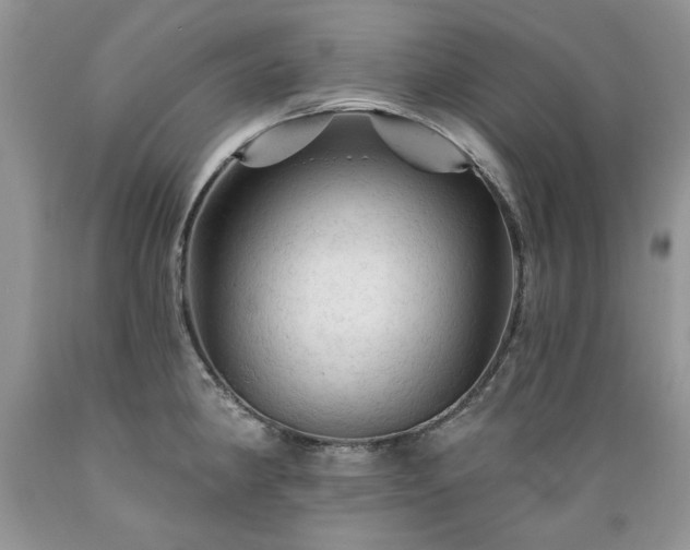 X0000089381190200706221247