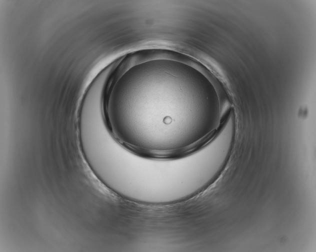 X0000089381192200706221247