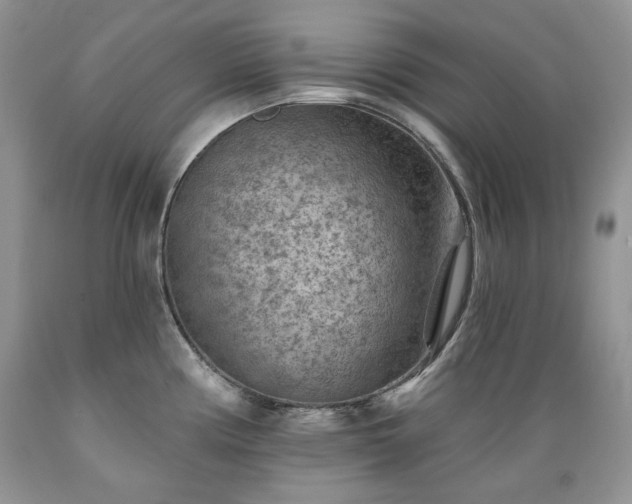 X0000089381194200706221247