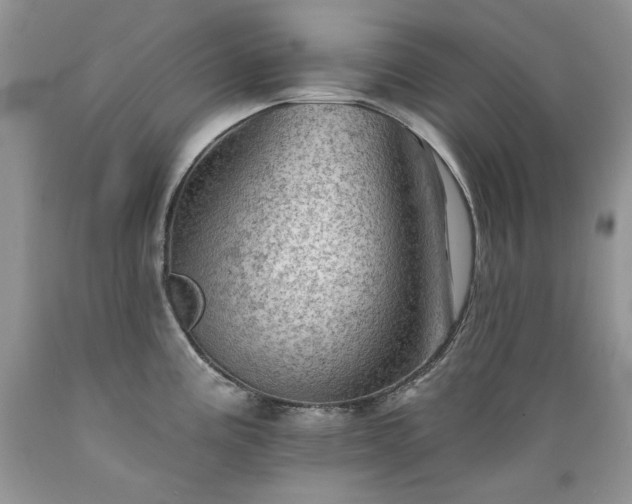 X0000089381195200706221247