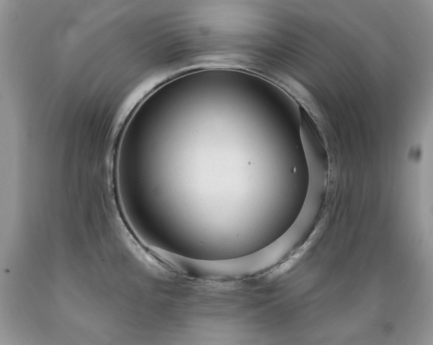 X0000089381196200706221247