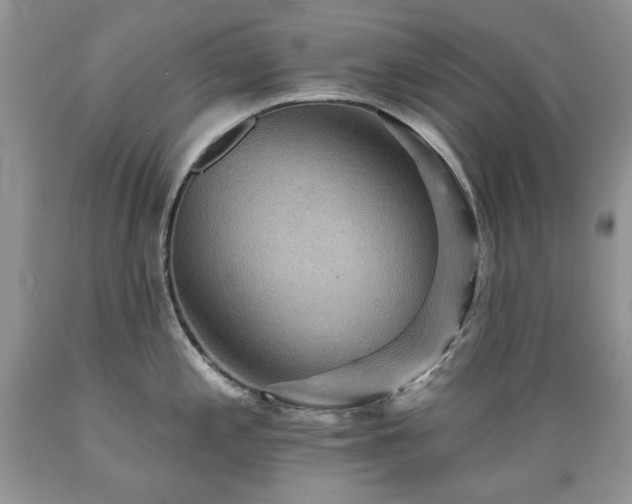 X0000089381197200706221247