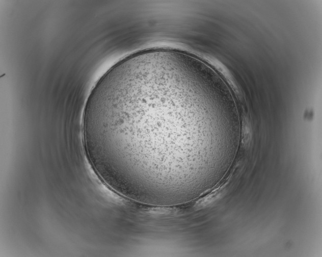 X0000089381199200706221247