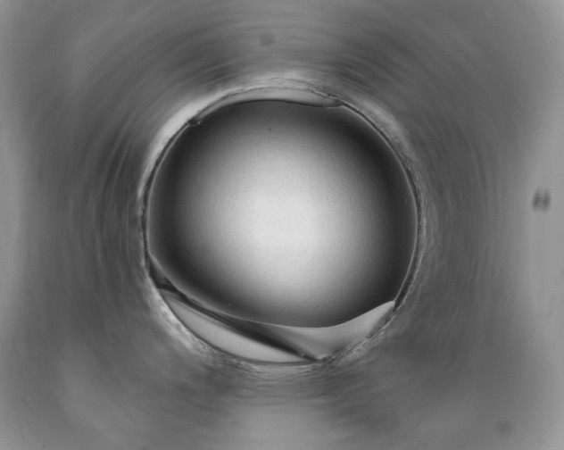 X0000089381200200706221247