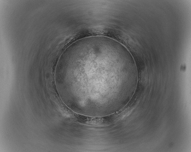 X0000089381201200706221246