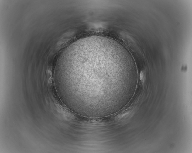 X0000089381203200706221246