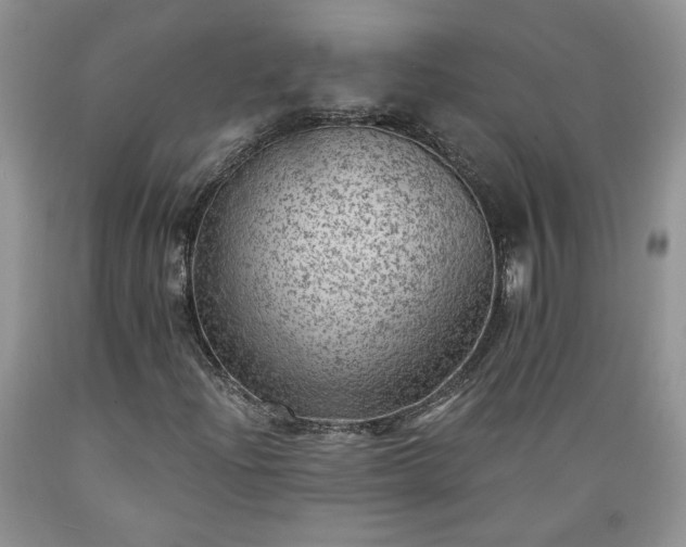 X0000089381204200706221246