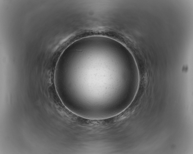 X0000089381205200706221246